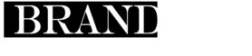 Brand Value logo